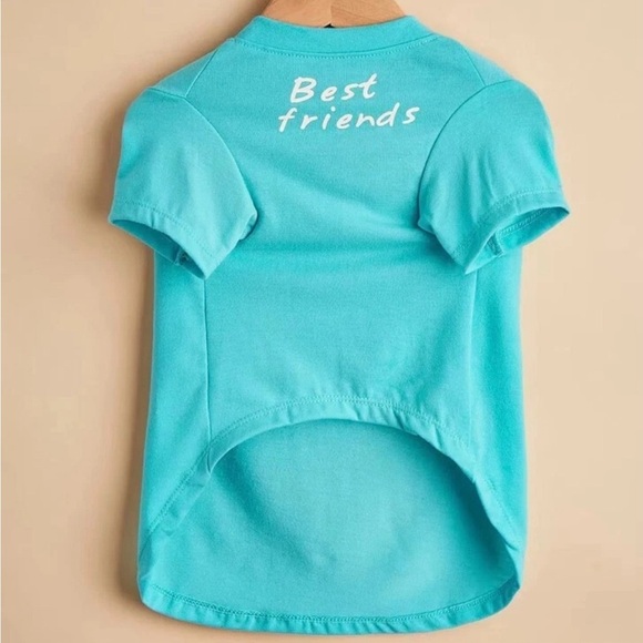Small Dog Or Cat Pet Tee T-Shirt Best Friends Aqua Blue Clothing - Picture 3 of 5